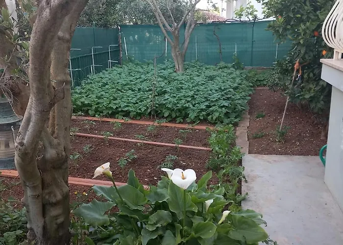 Апартаменты Ive *